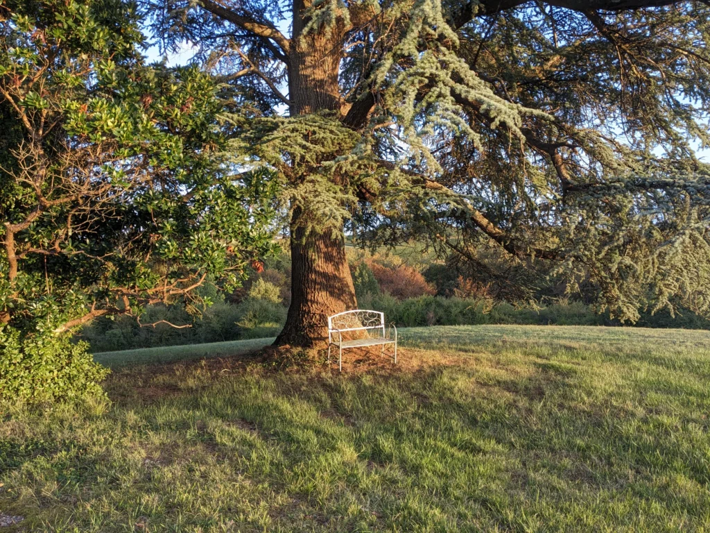 Parc du chateau du Broustaret